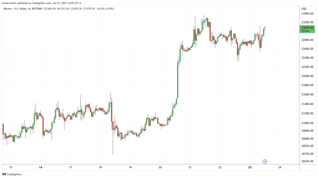 Bitcoin hourly chart