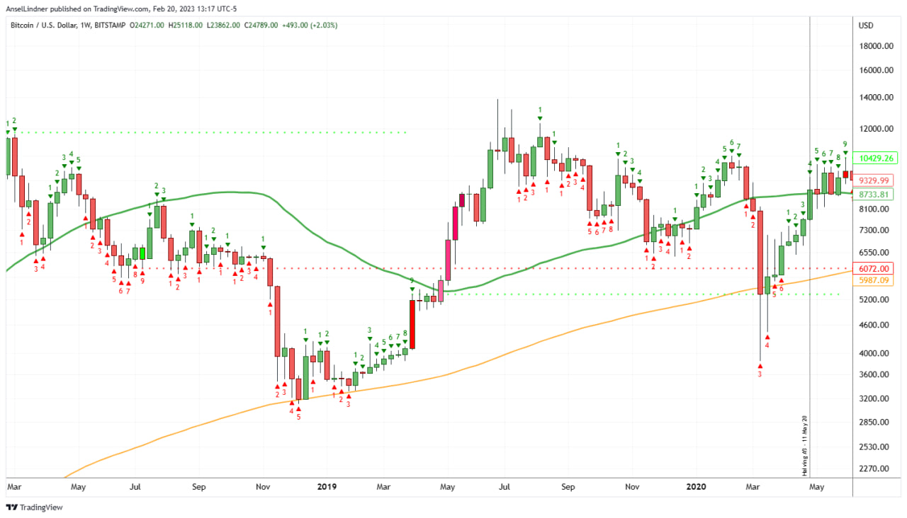 Bitcoin weekly chart of 2019 rally with TD Sequential