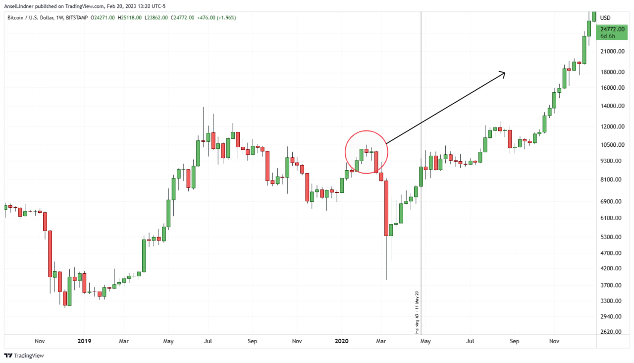 Bitcoin weekly chart showing the effect of not having COVID crash