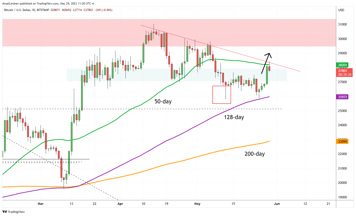 Bitcoin daily chart