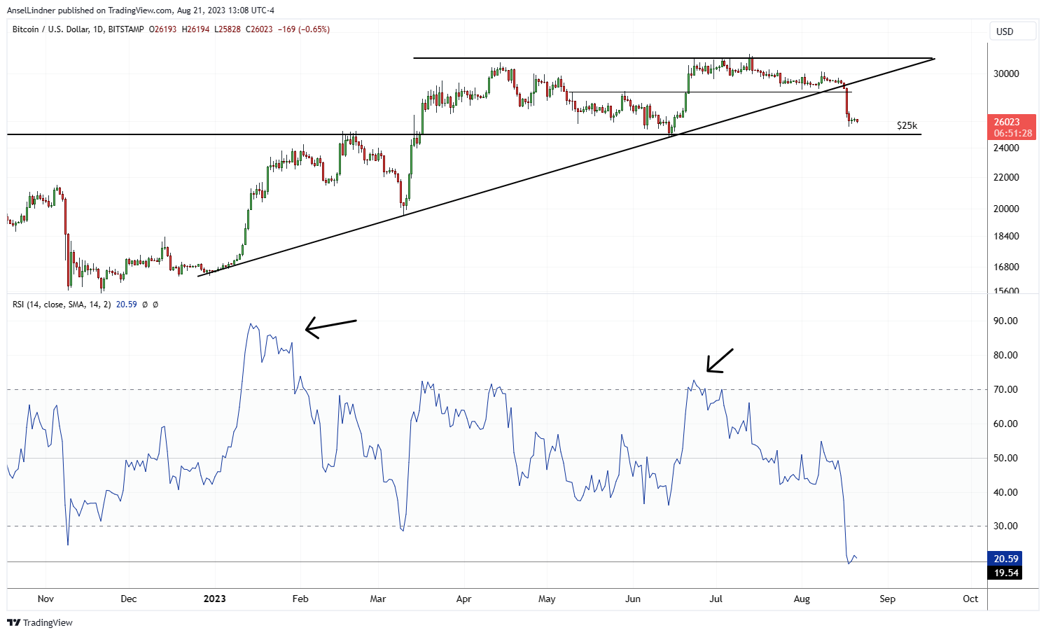 Bitcoin daily chart with RSI showing Blackrock did cause overheating