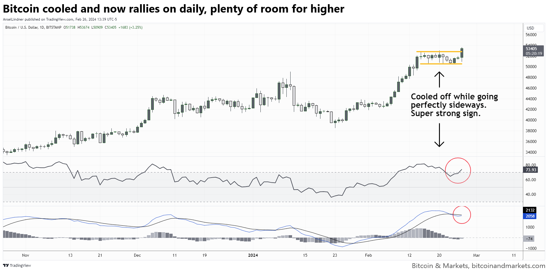 Bitcoin Fundamentals Report #279