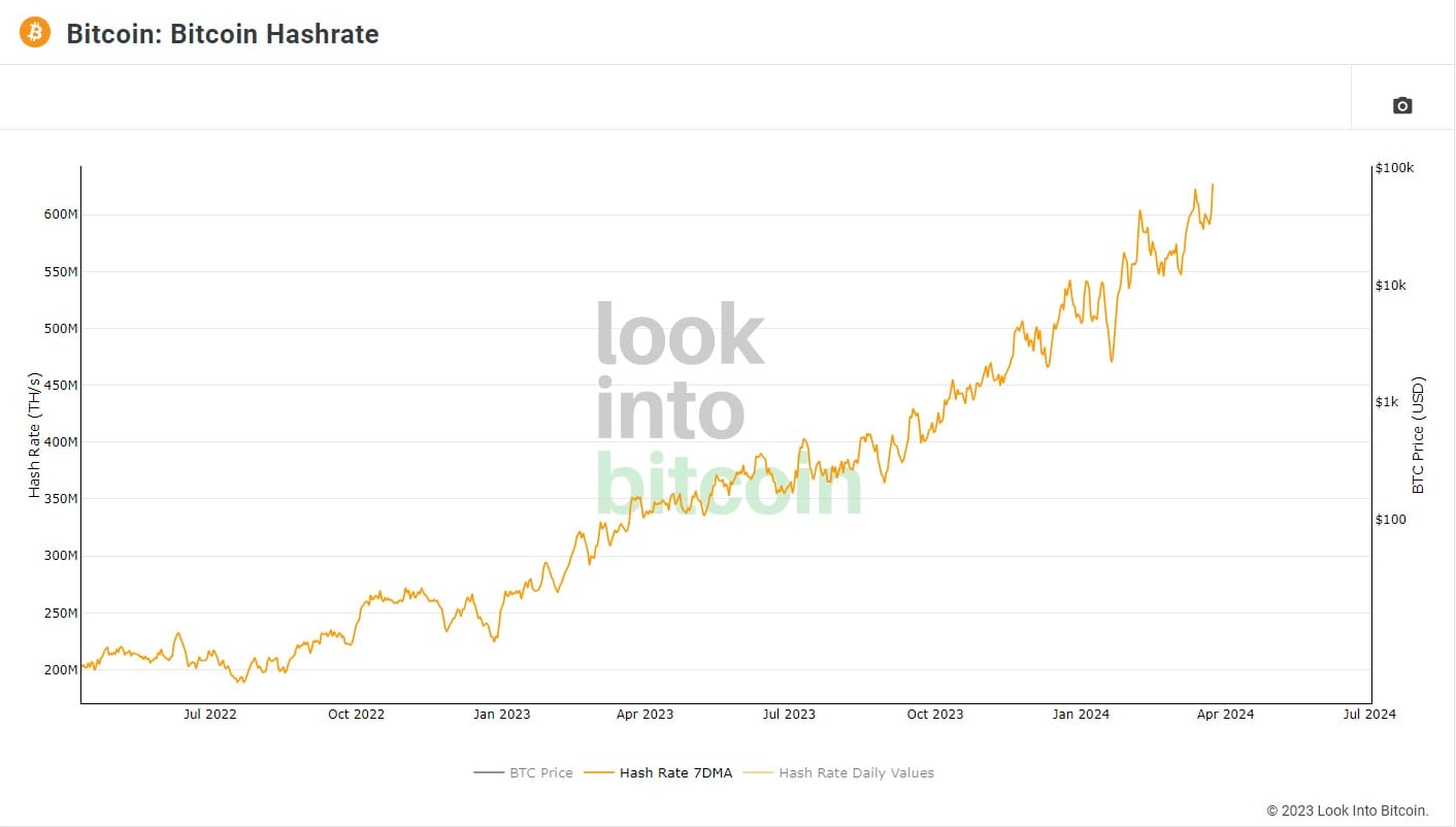 Bitcoin Fundamentals Report #282