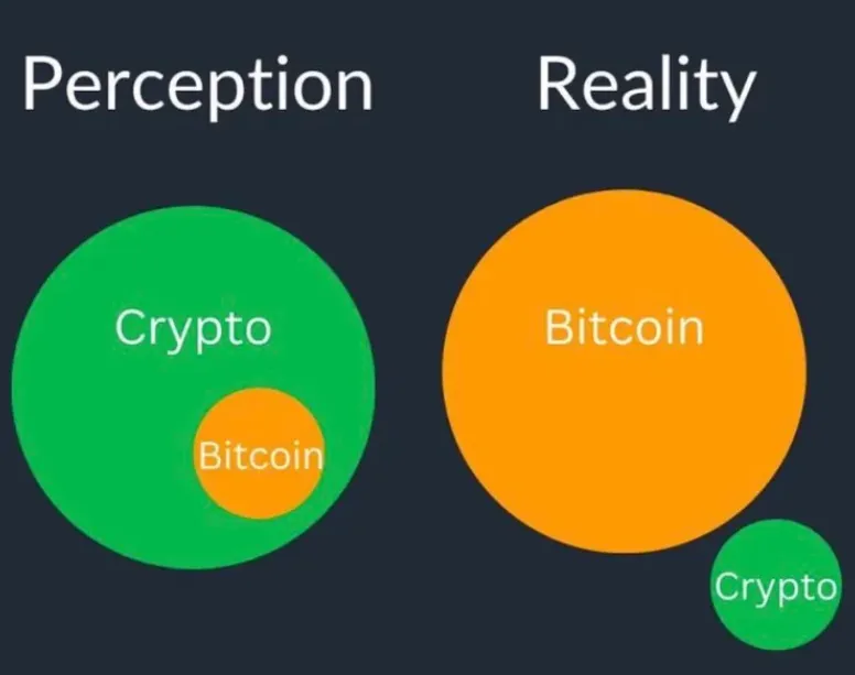 Bitcoin Fundamentals Report #230